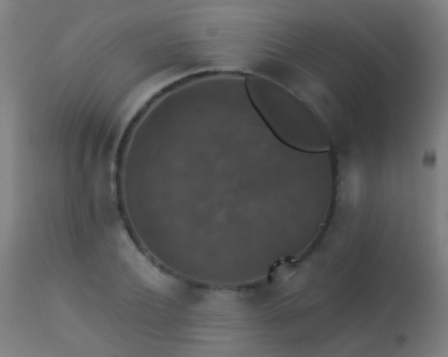 X0000113280932200909211036