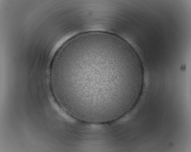 X0000113280933200909211036