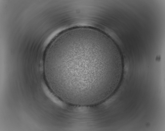 X0000113280934200909211036