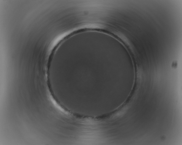 X0000113280935200909211036