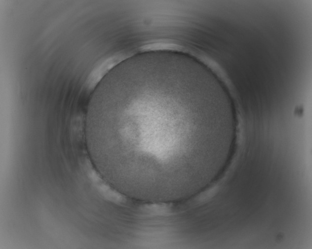 X0000113280937200909211036