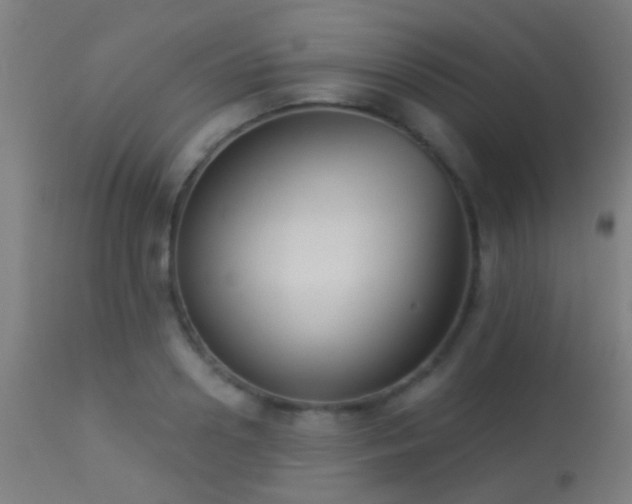 X0000113280938200909211036