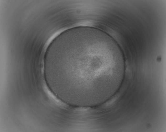 X0000113280939200909211036