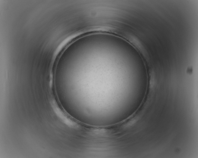 X0000113280940200909211036