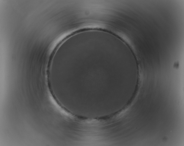 X0000113280943200909211036