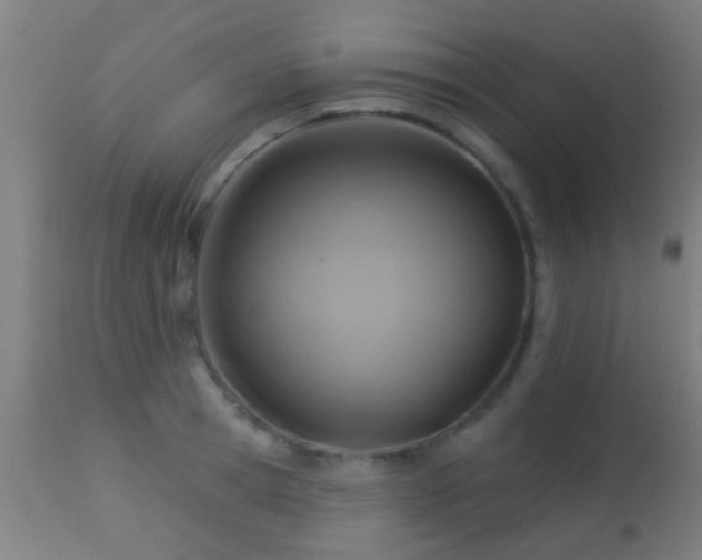 X0000113280945200909211036