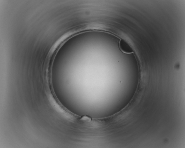 X0000113280947200909211036