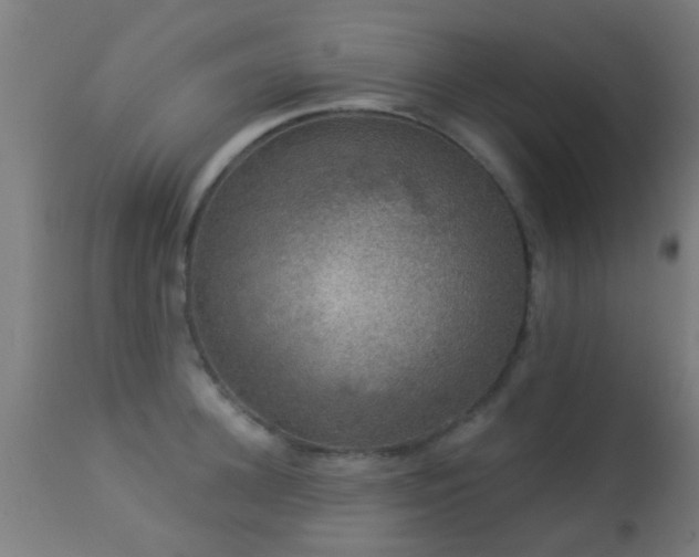 X0000113280948200909211036