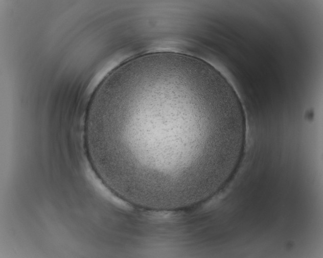 X0000113280949200909211036