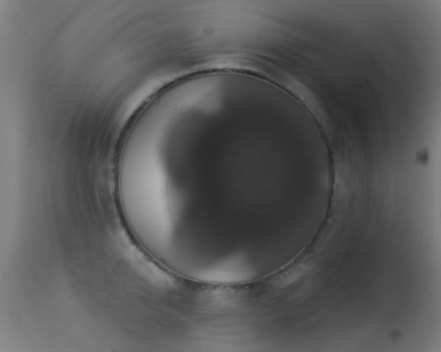 X0000113280950200909211036