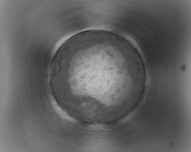 X0000113280952200909211036