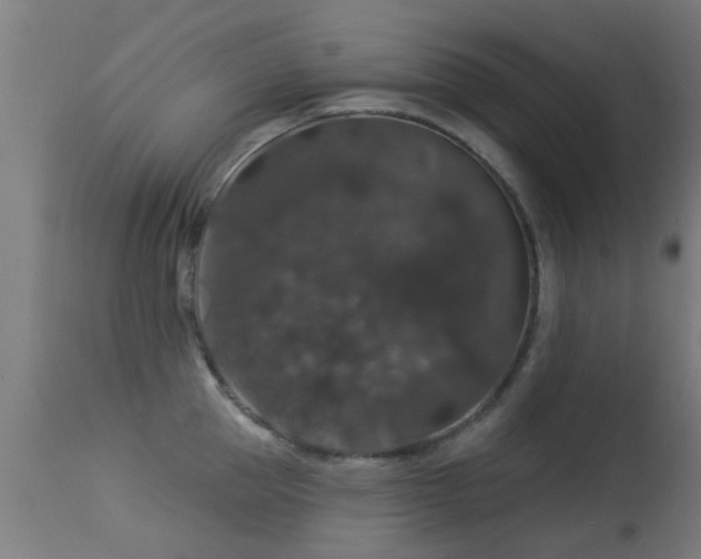 X0000113280953200909211036