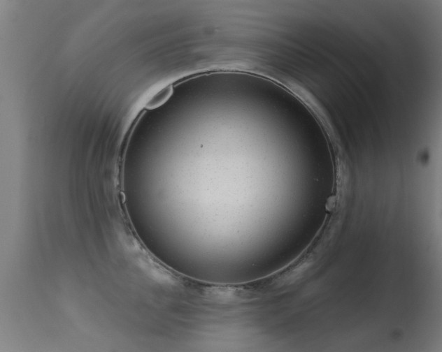 X0000113280956200909211036