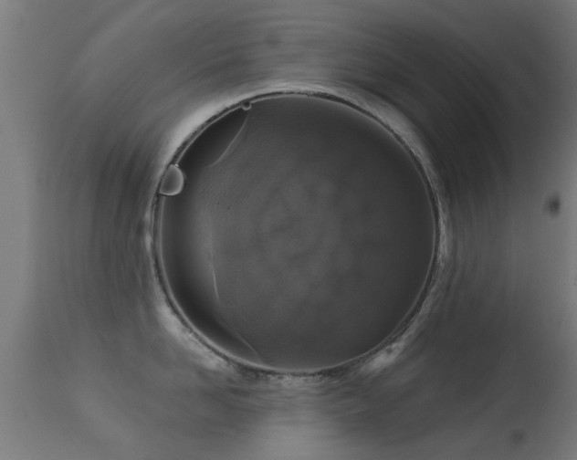 X0000113280958200909211036