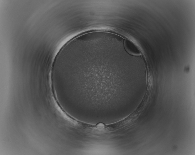 X0000113280959200909211036