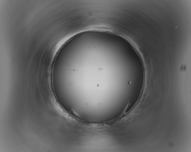 X0000113280960200909211036