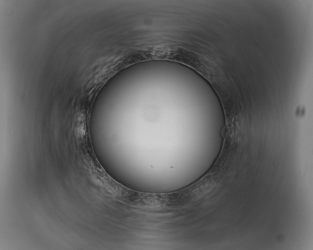 X0000113280962200909211035