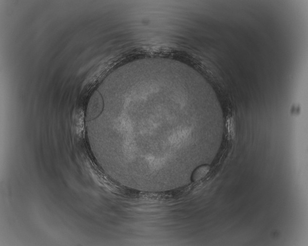 X0000113280963200909211035