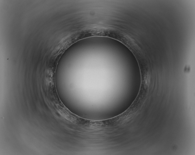 X0000113280964200909211035