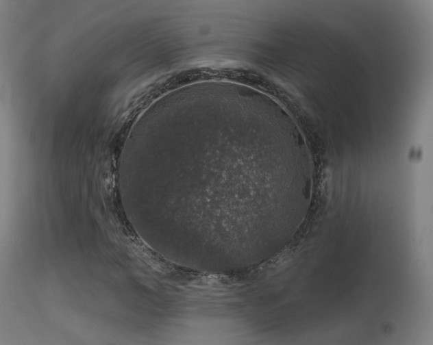 X0000113280966200909211035