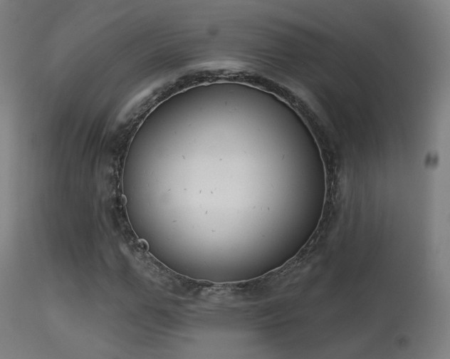 X0000113280967200909211035