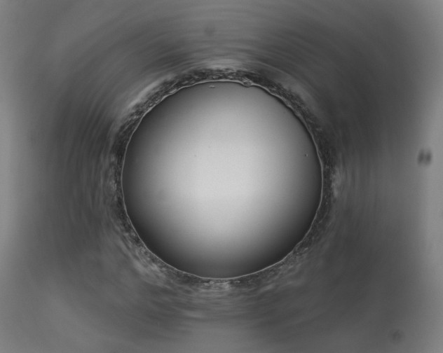 X0000113280968200909211035