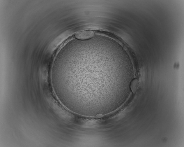 X0000113280969200909211035