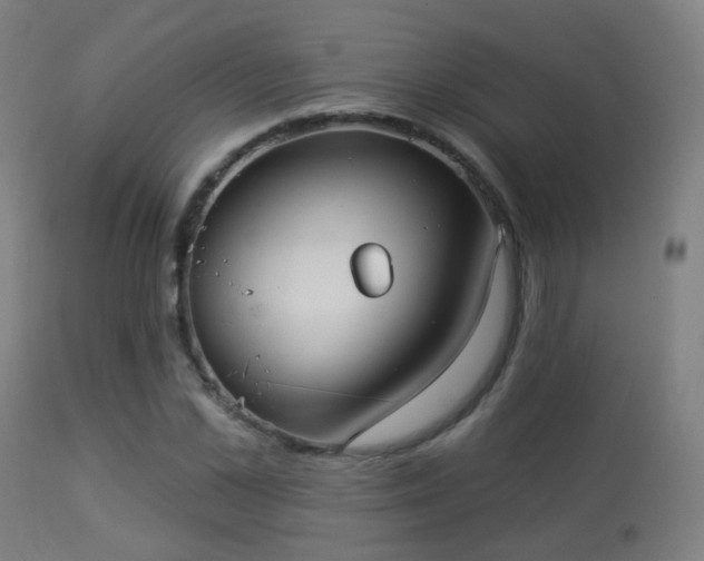 X0000113280973200909211035