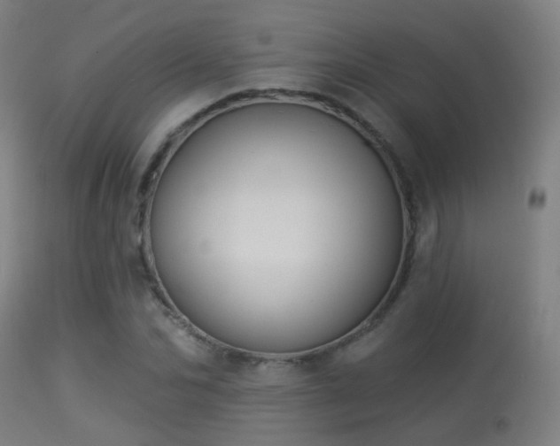 X0000113280974200909211035