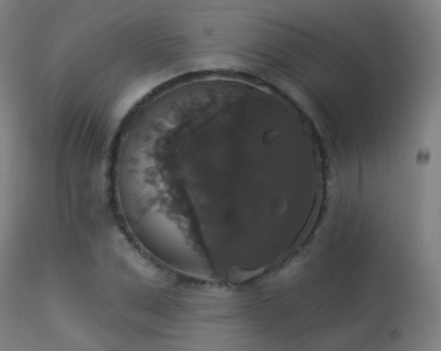 X0000113280975200909211035