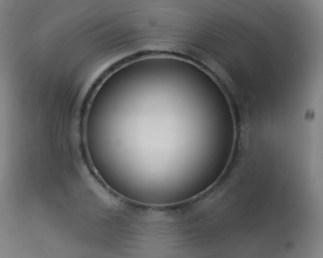 X0000113280976200909211035