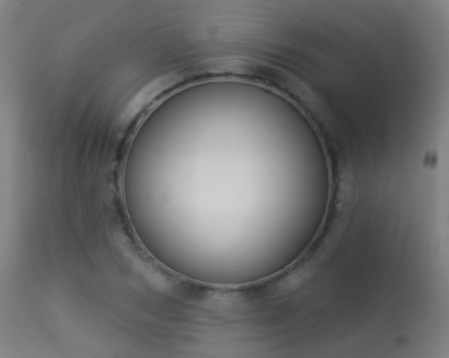 X0000113280978200909211035