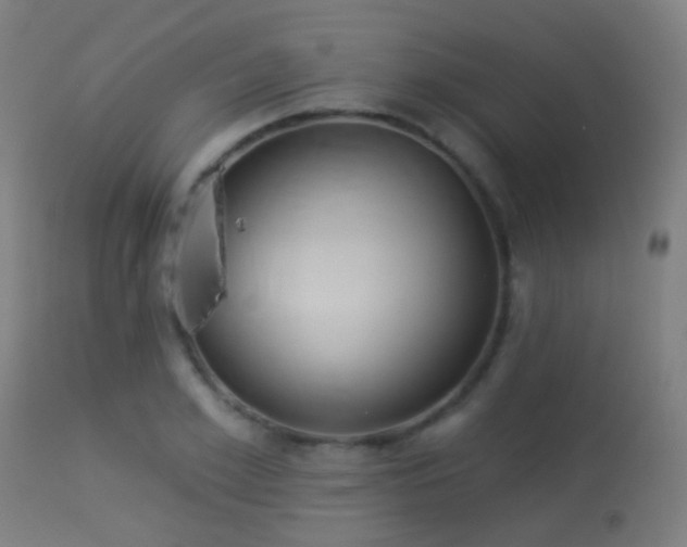 X0000113280981200909211035