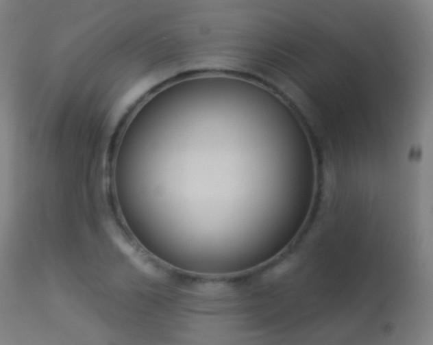 X0000113280982200909211035