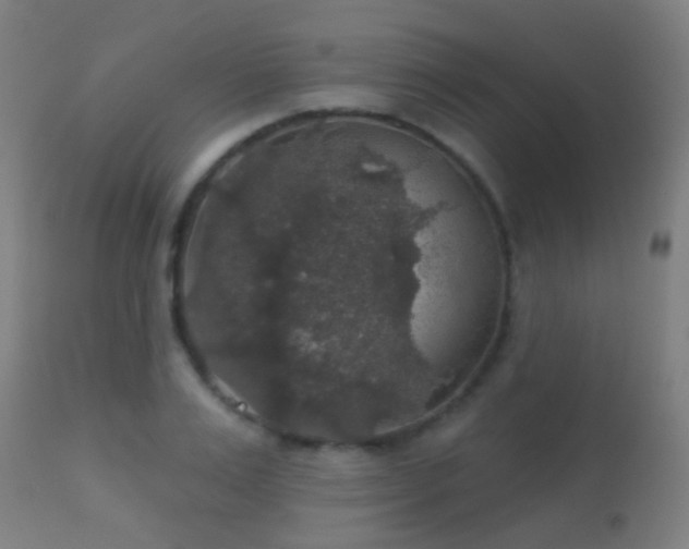 X0000113280983200909211035