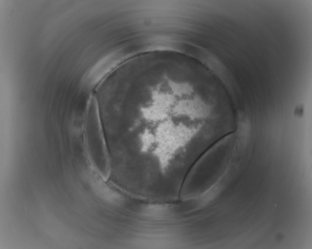 X0000113280985200909211035