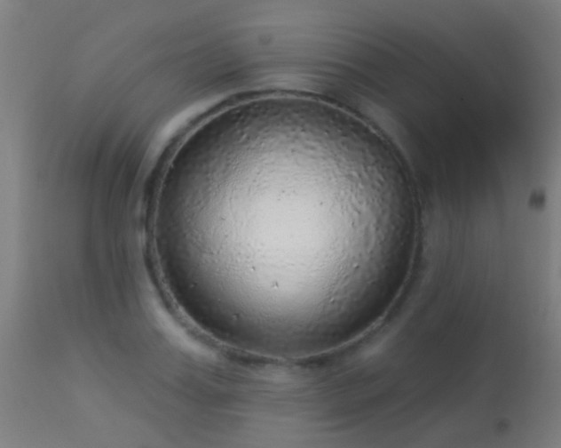 X0000113280987200909211035