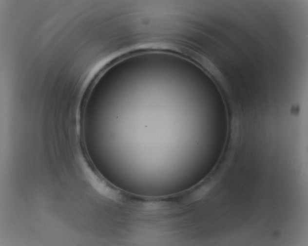 X0000113280988200909211035