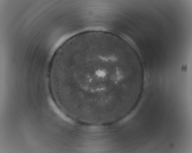 X0000113280989200909211035