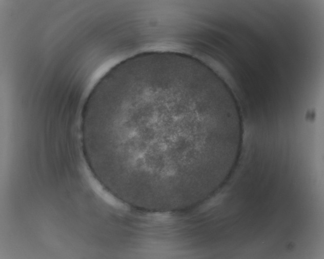 X0000113280990200909211035