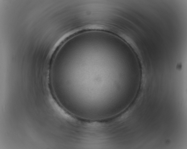 X0000113280992200909211035