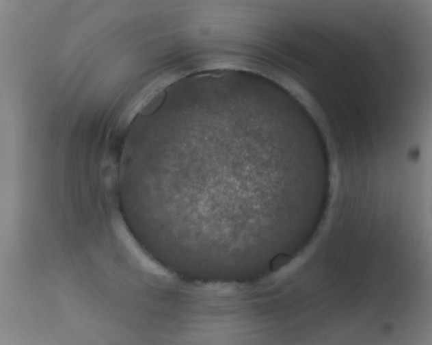 X0000113280993200909211035