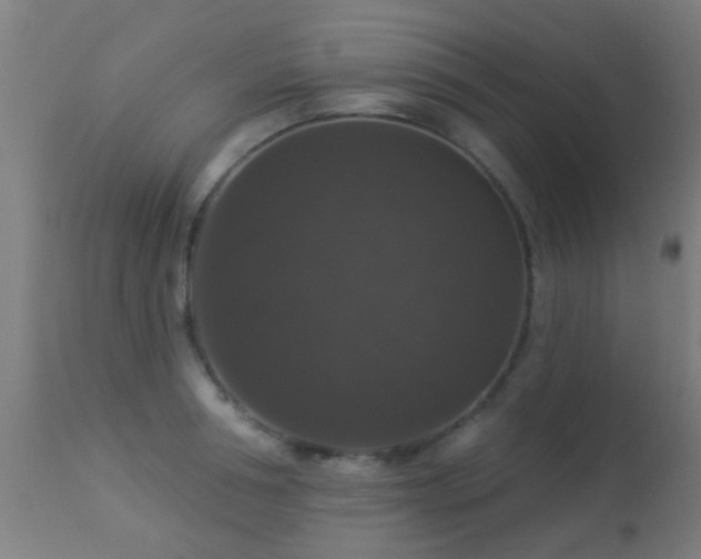 X0000113280994200909211035