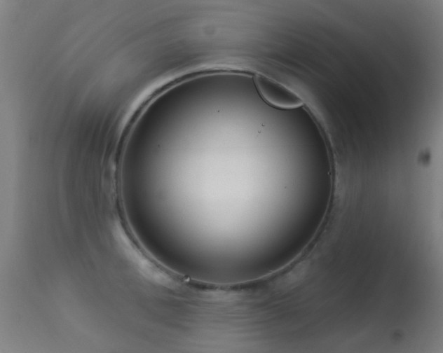 X0000113280996200909211035