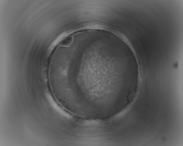 X0000113280997200909211035