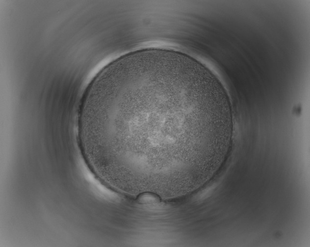 X0000113280999200909211035