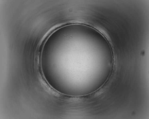 X0000113281000200909211035