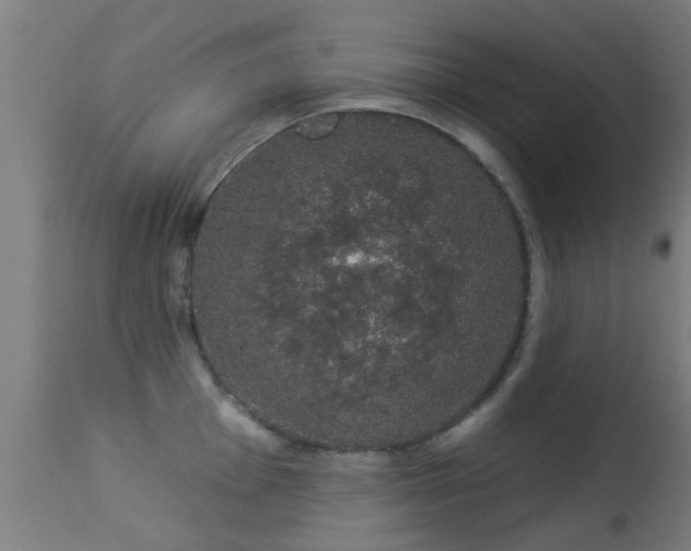 X0000113281001200909211035