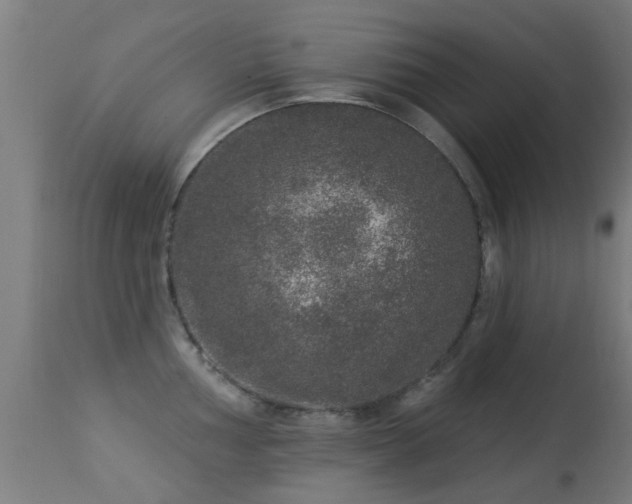 X0000113281002200909211035