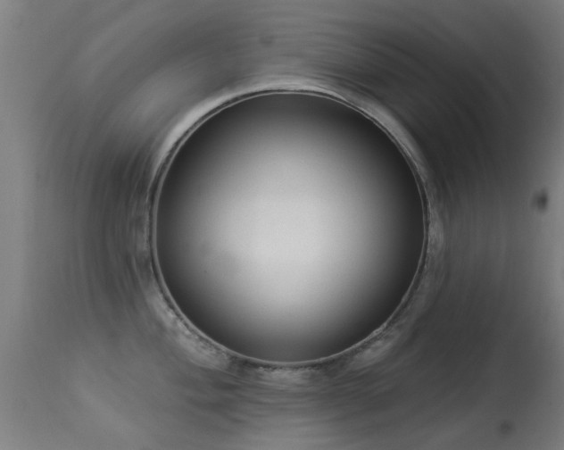 X0000113281004200909211035